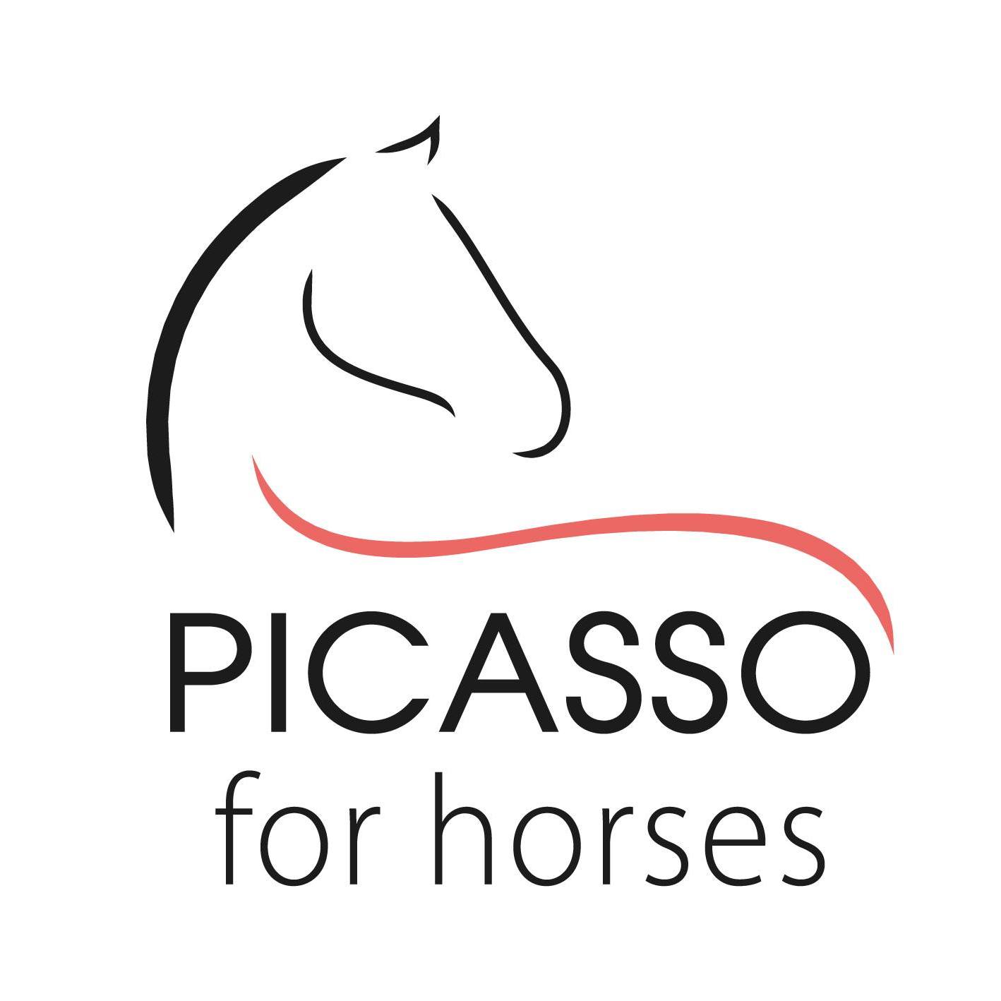 logo picasso