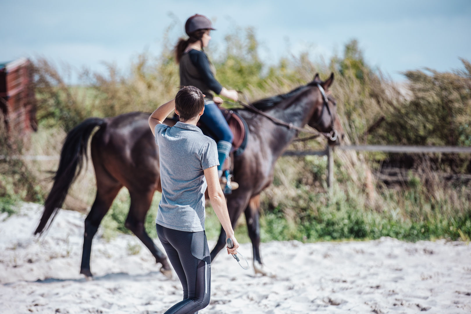 photo d'un essai monté de selle