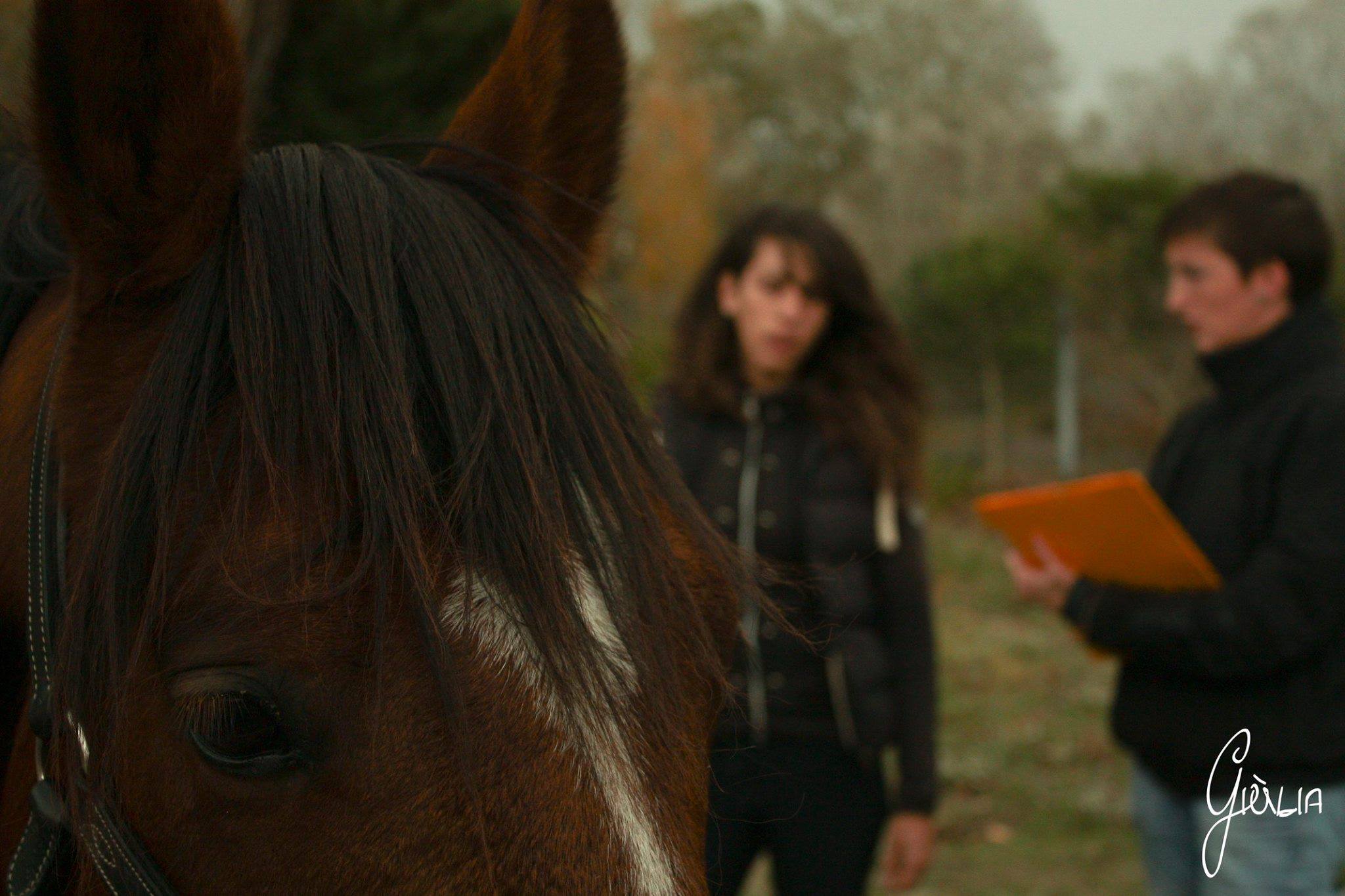 photo d'Isabelle Devambez en consultation de saddle fitting